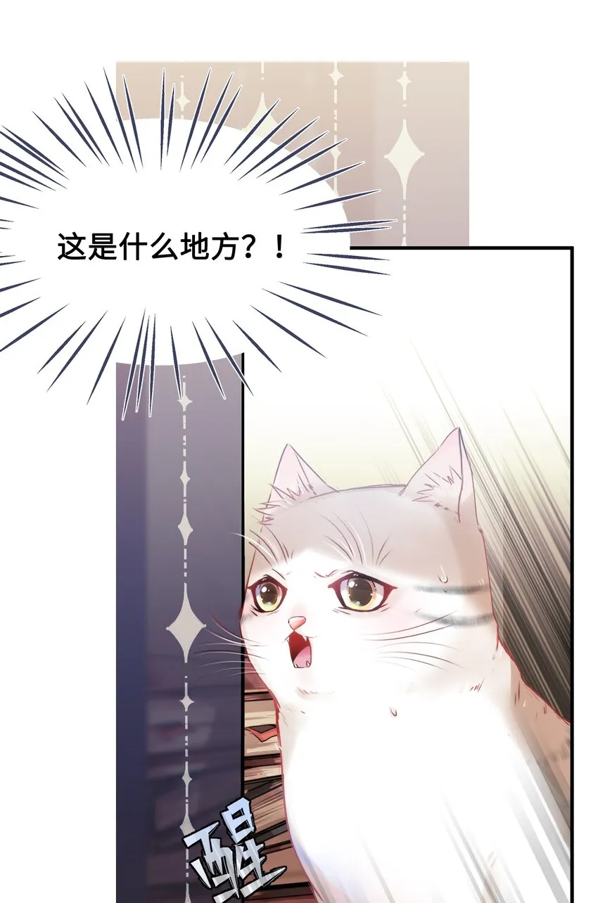 001 突然变成毛绒绒…… 第7页