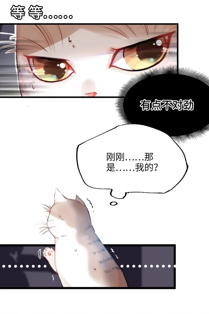 001 突然变成毛绒绒…… 第10页