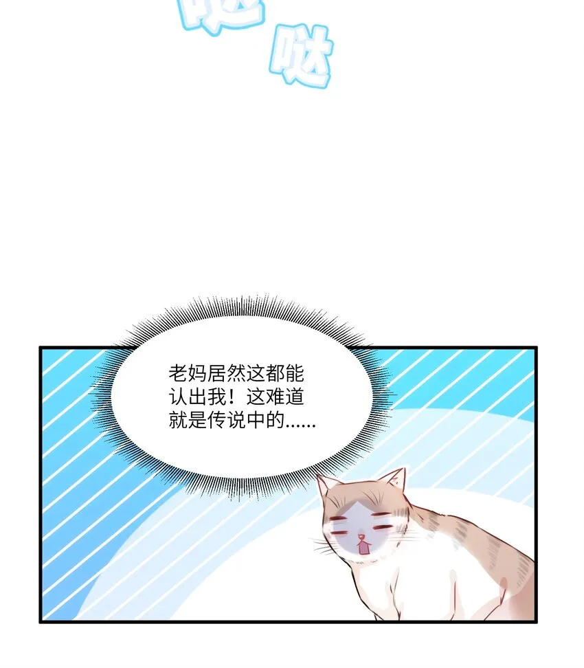 002 妈妈，我才是你的儿啊！ 第40页