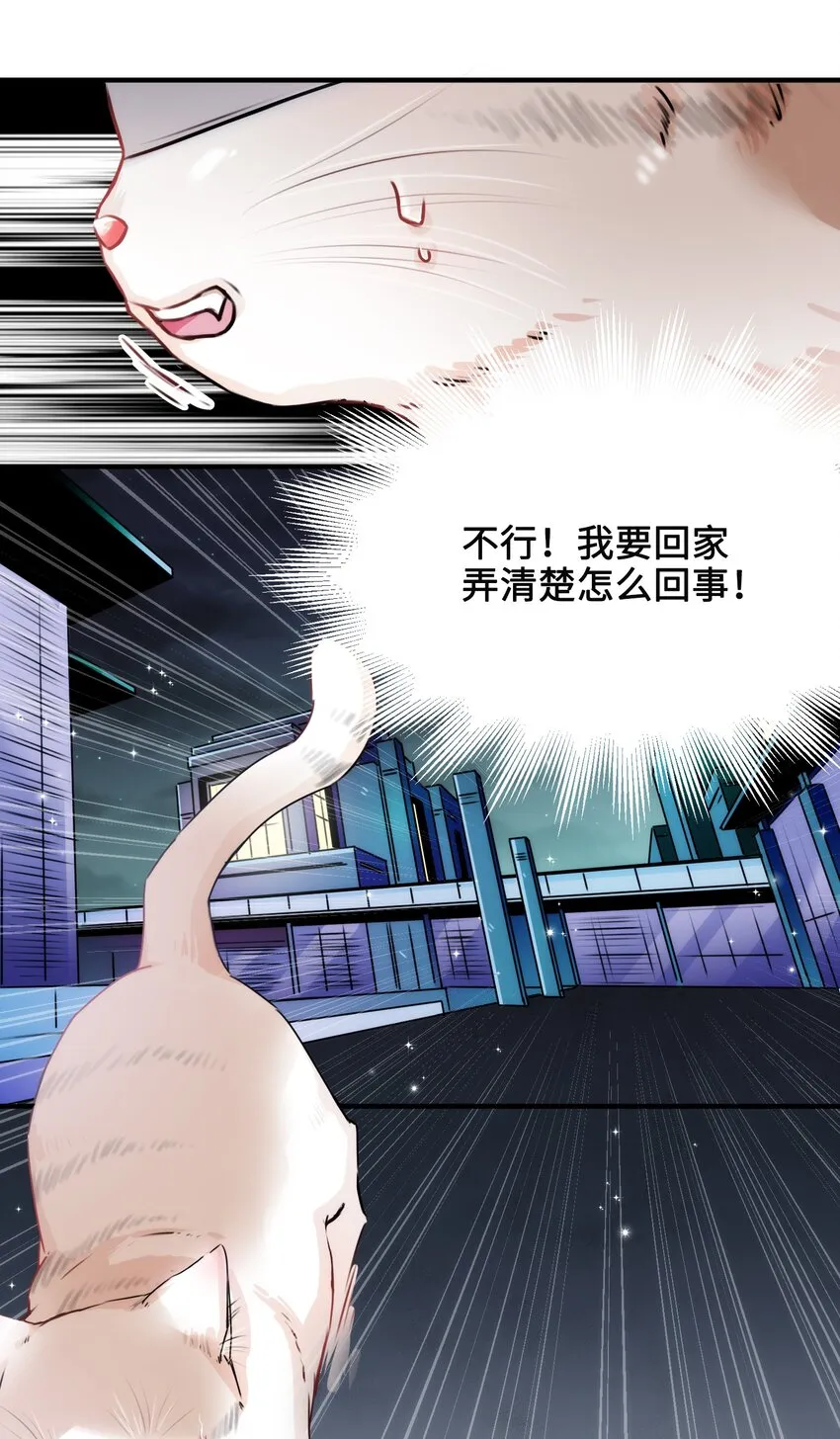 003 晏家的绝后危机？！ 第5页