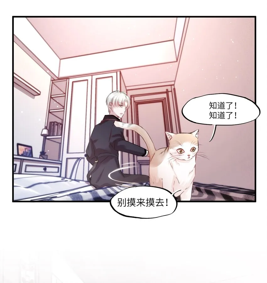 003 晏家的绝后危机？！ 第17页