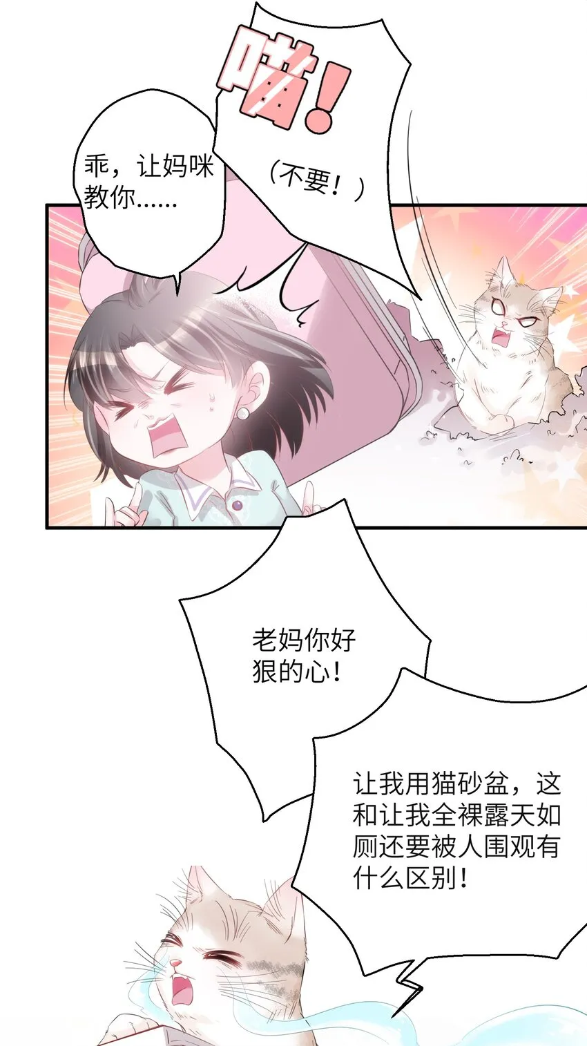 003 晏家的绝后危机？！ 第44页