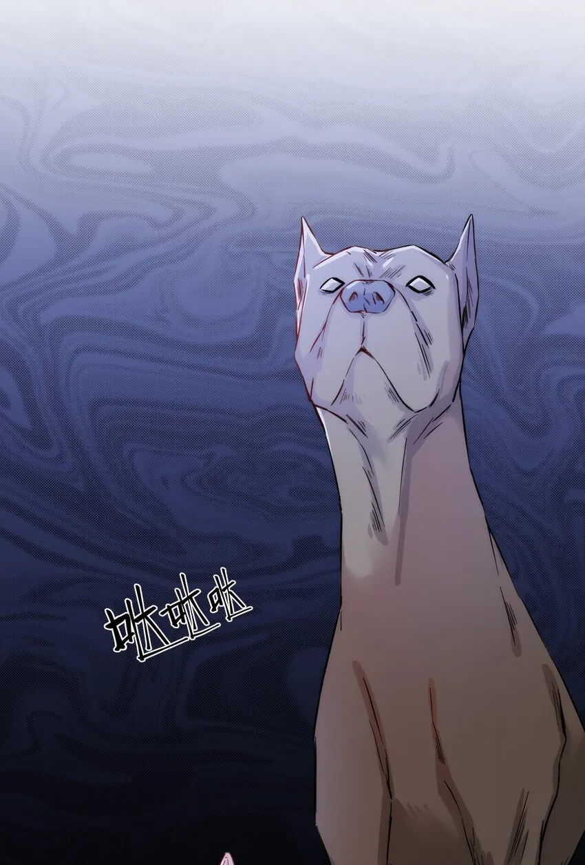 005 什么！居然是狗...... 第43页