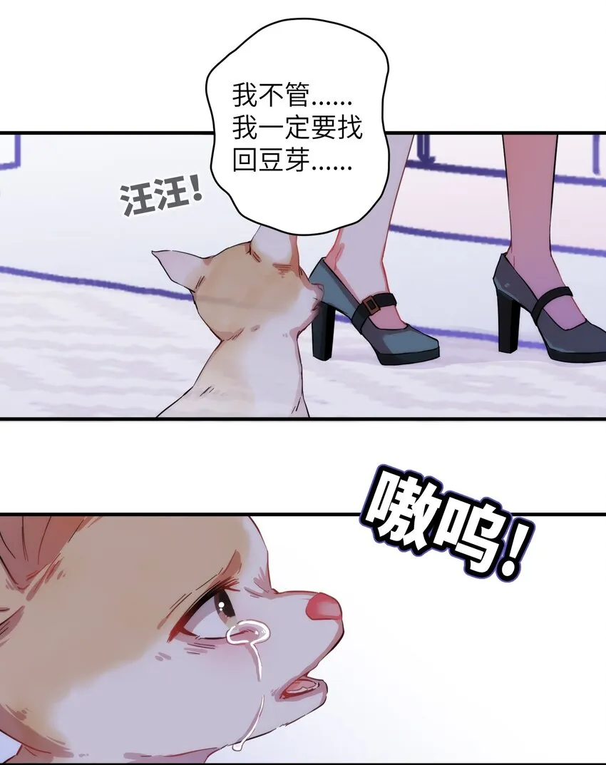 006 小狗豆芽的求助 第8页