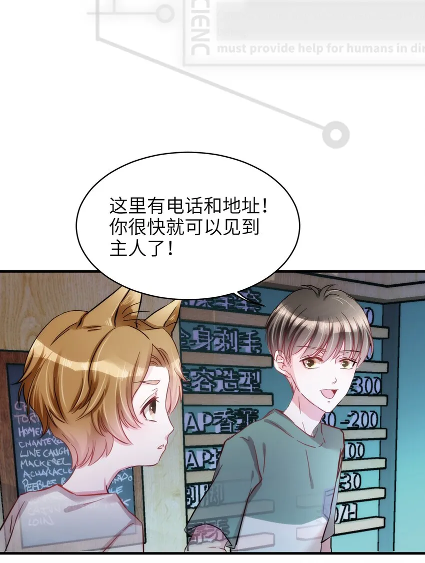 006 小狗豆芽的求助 第33页