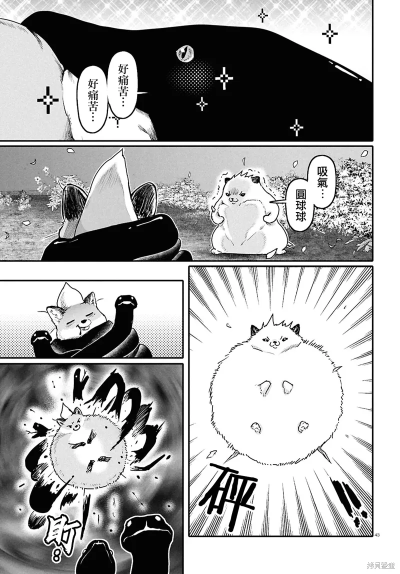 第62话 第43页
