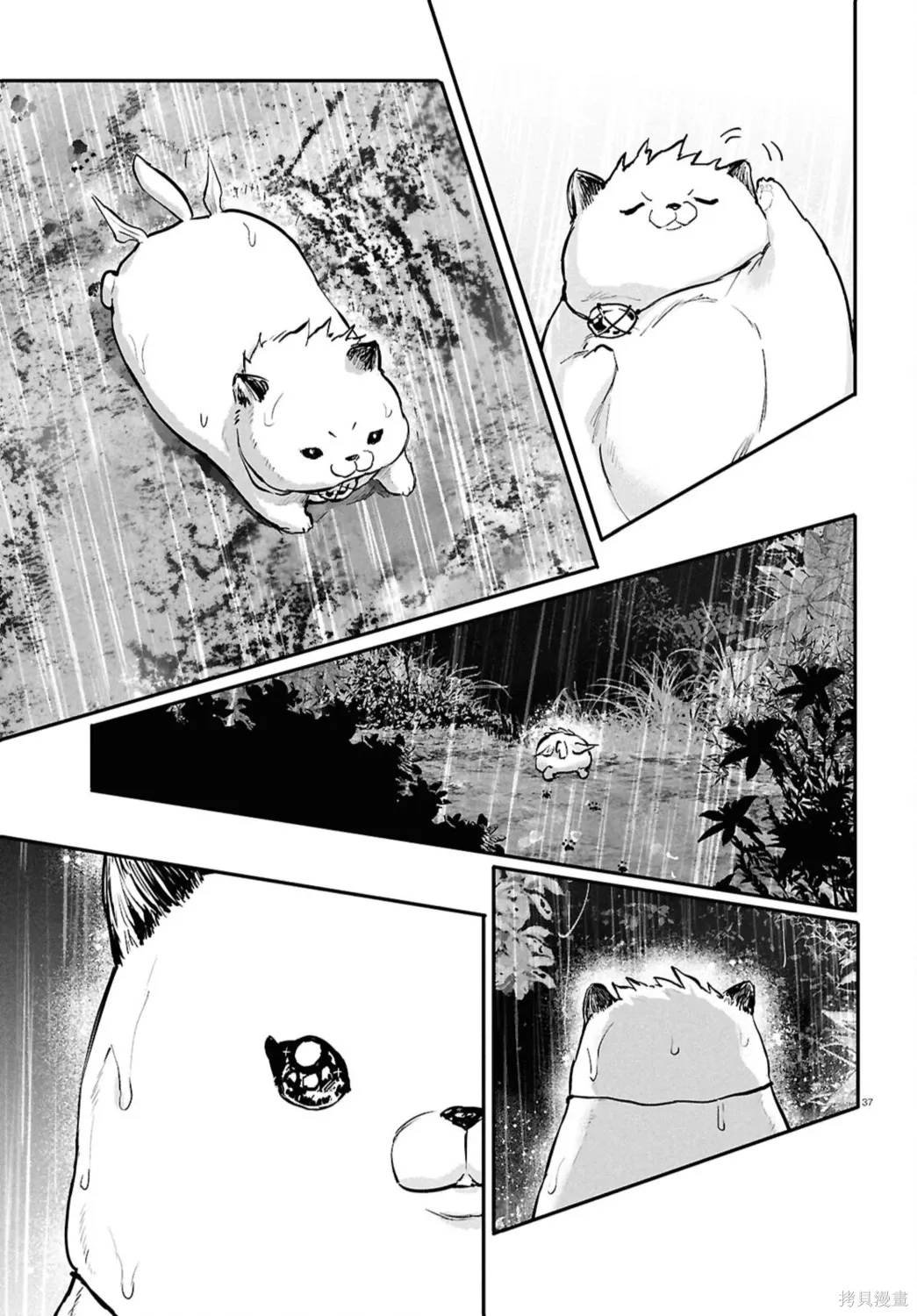 第66话 第37页
