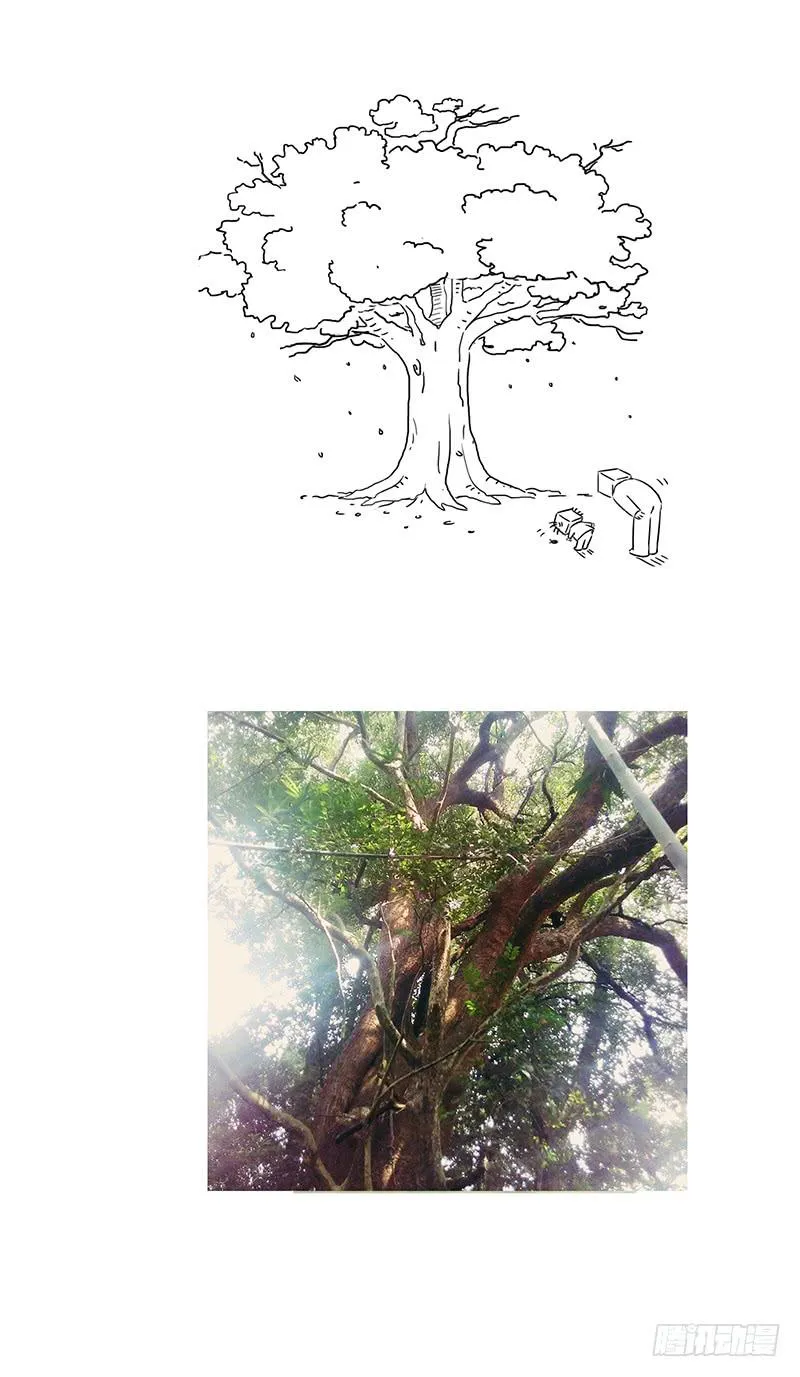 家乡的大树 第8页