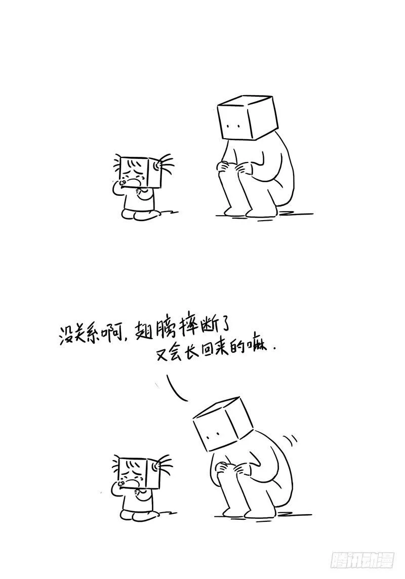 翅膀 第5页