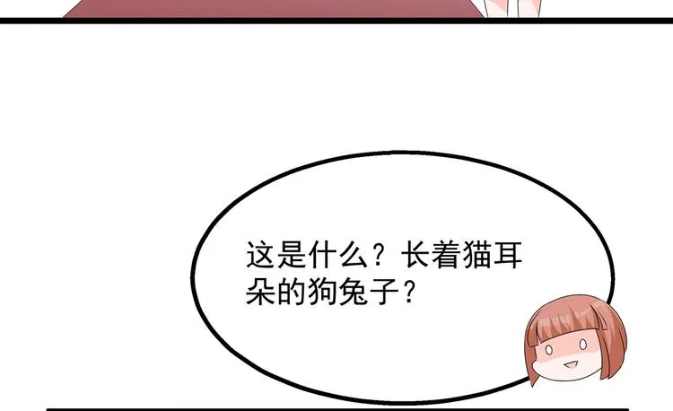 番外 激萌狐狸诞生记 第5页