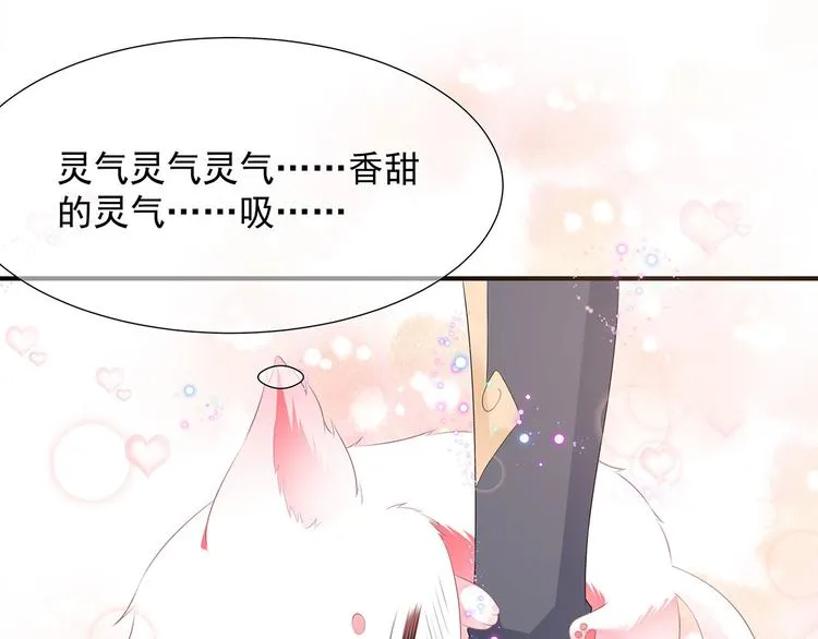 第2话 无奈成宠 第6页