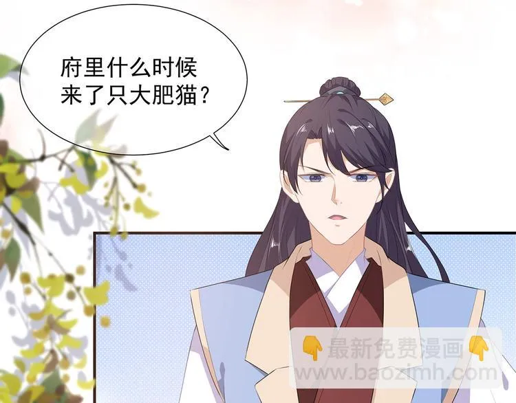 第2话 无奈成宠 第8页
