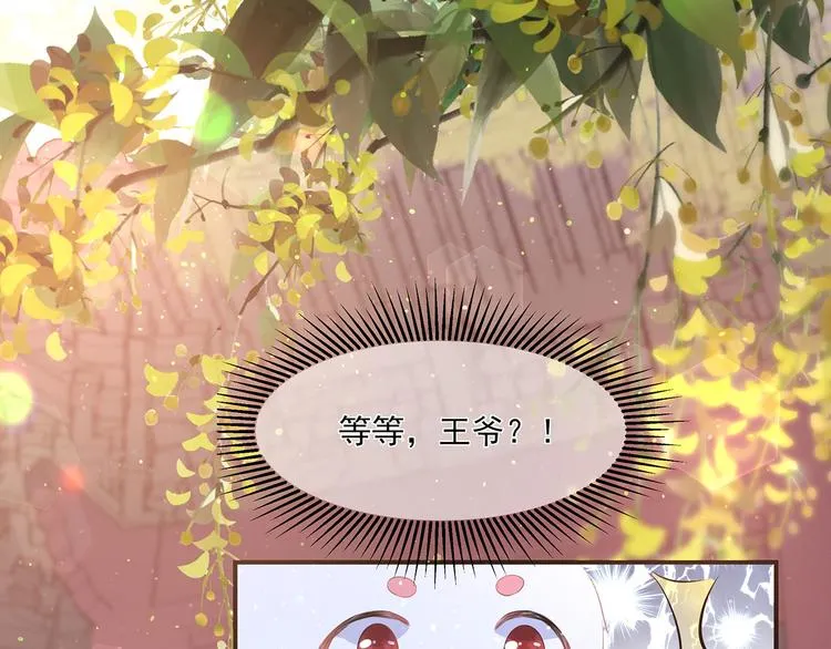 第2话 无奈成宠 第12页