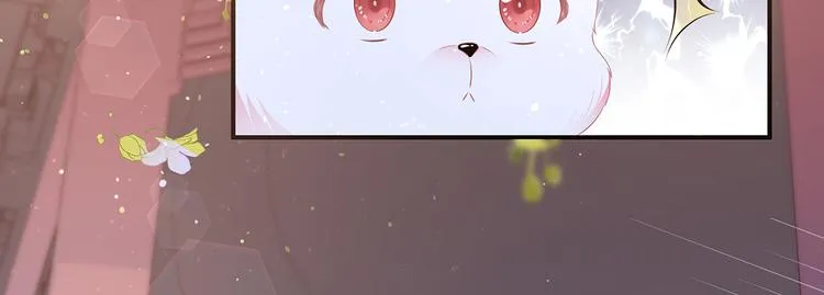 第2话 无奈成宠 第13页