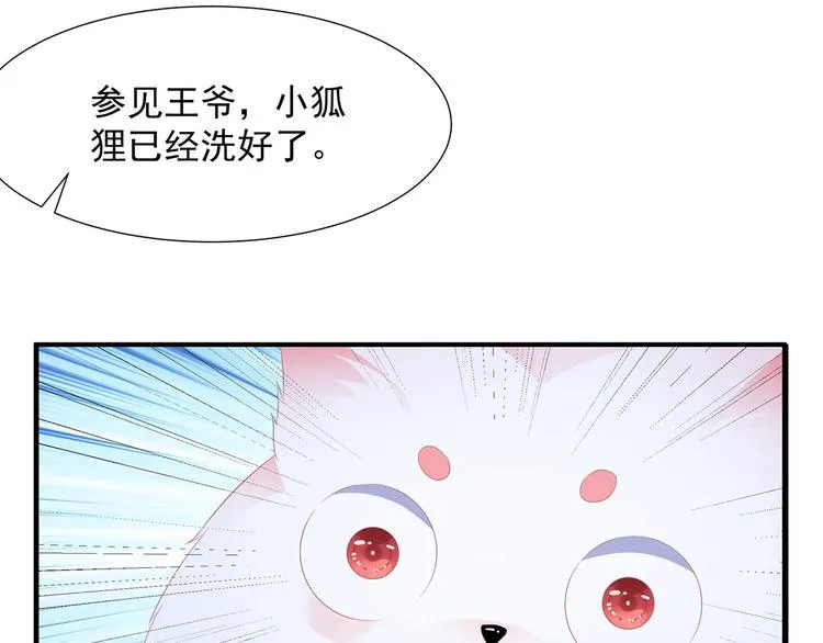 第4话 萌宠生涯 第9页