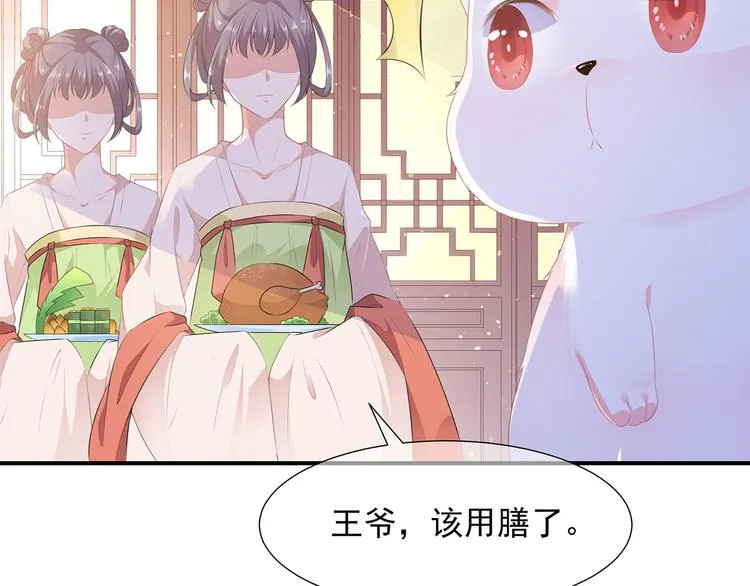 第4话 萌宠生涯 第40页