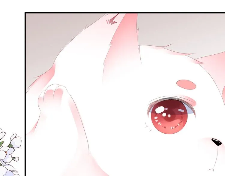 第6话 灵狐皇族 第68页