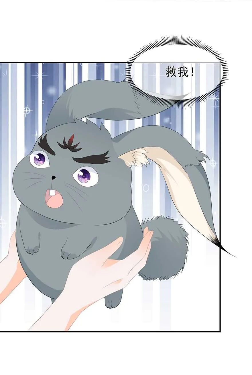 第62话 神秘的黑兔 第35页
