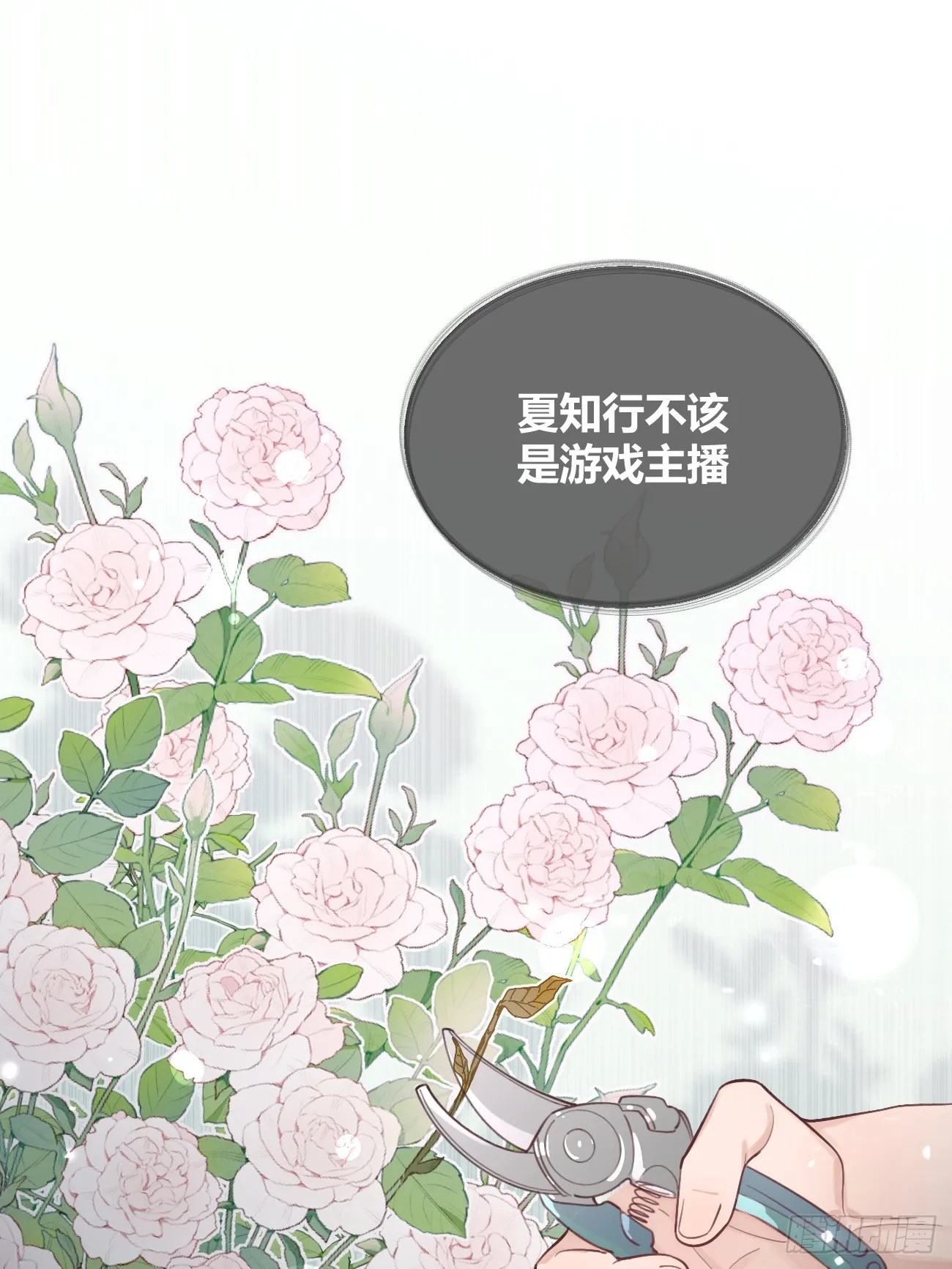 22.谢谢 第10页