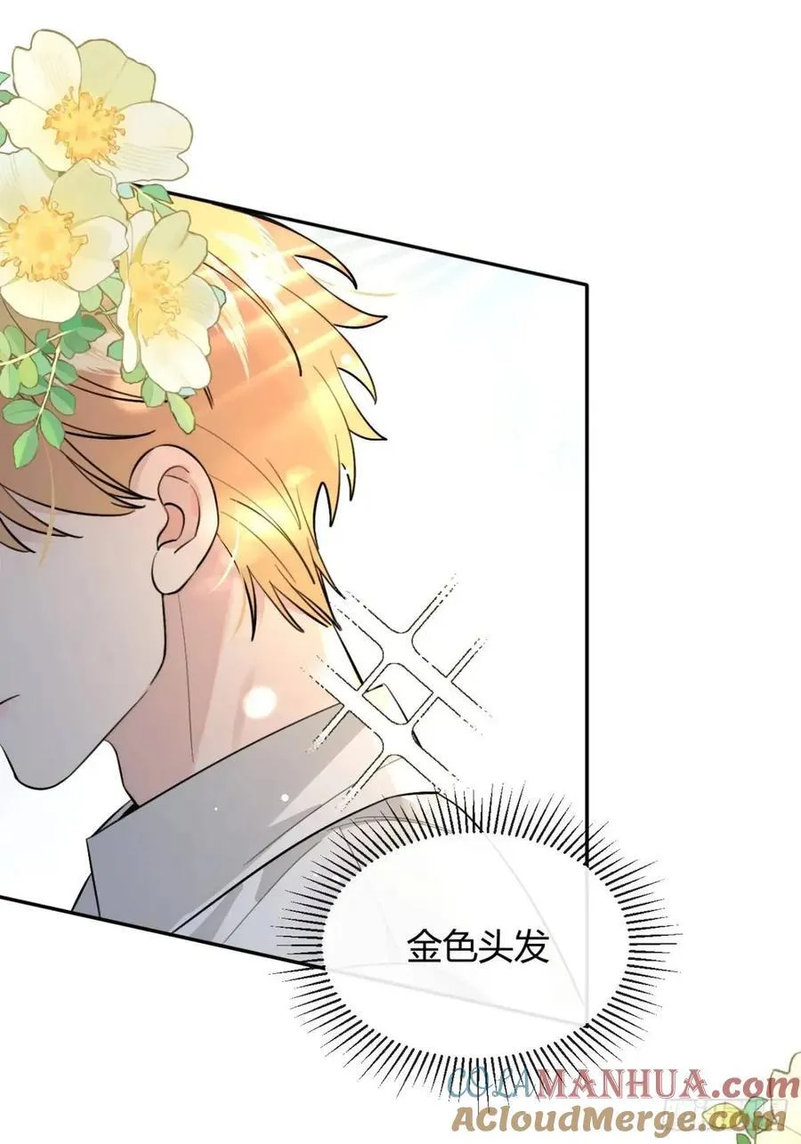 66.校庆 第49页