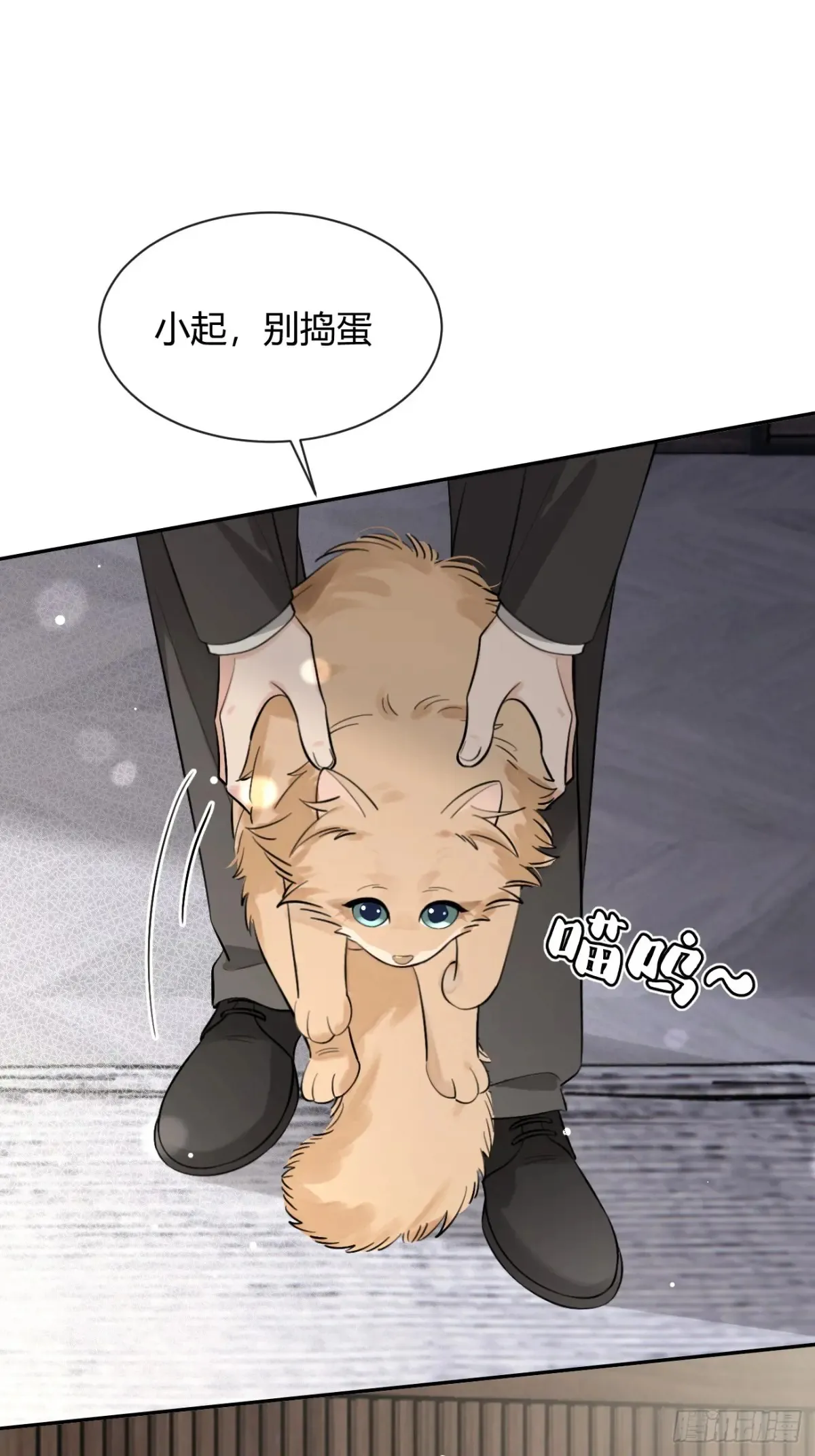 81.还没复合呢 第18页