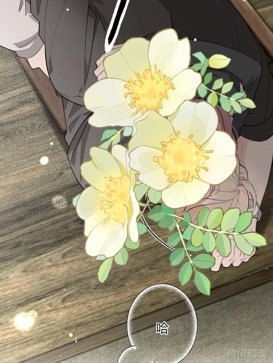 91.事已至此 第26页