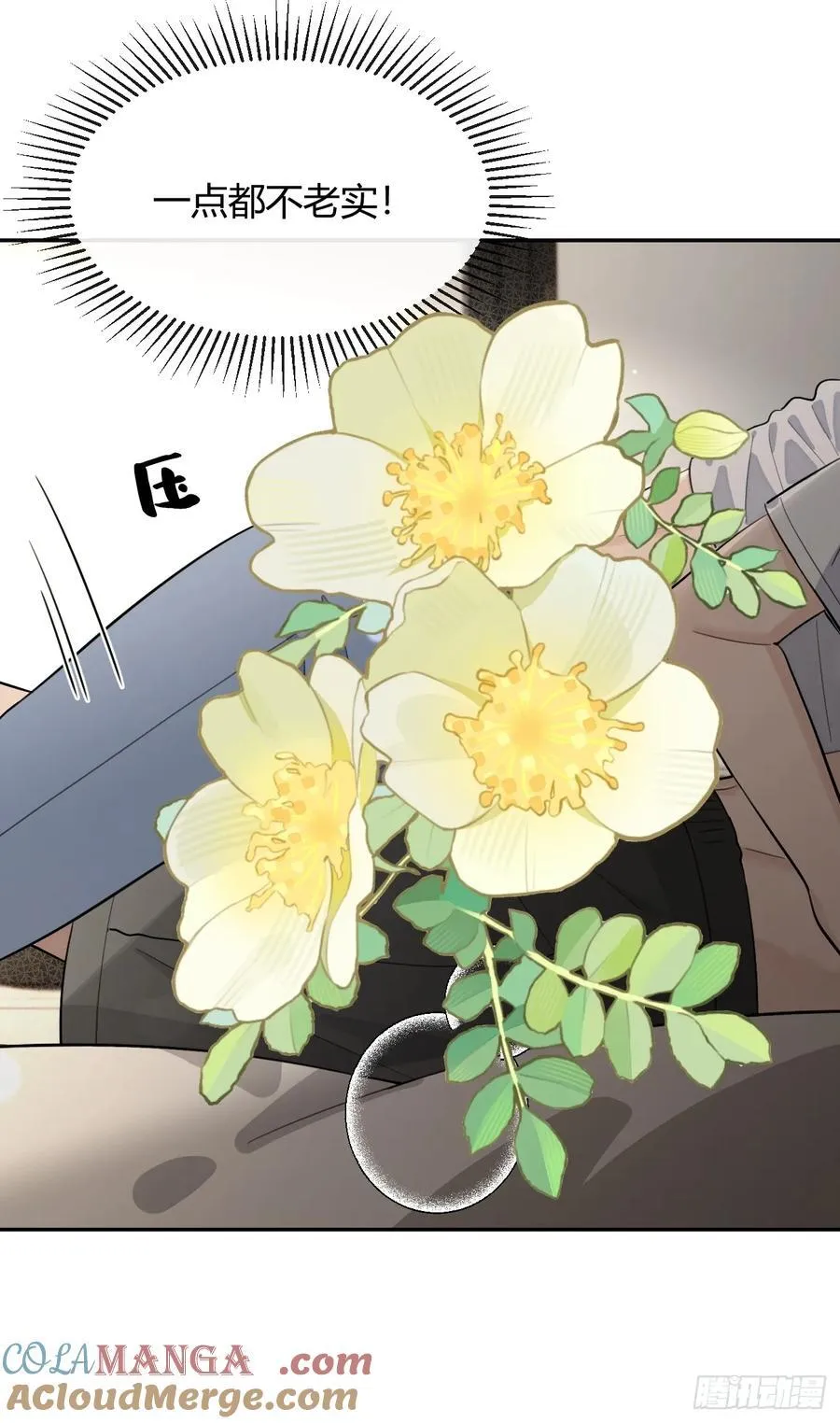 95. 就吃一口 第37页