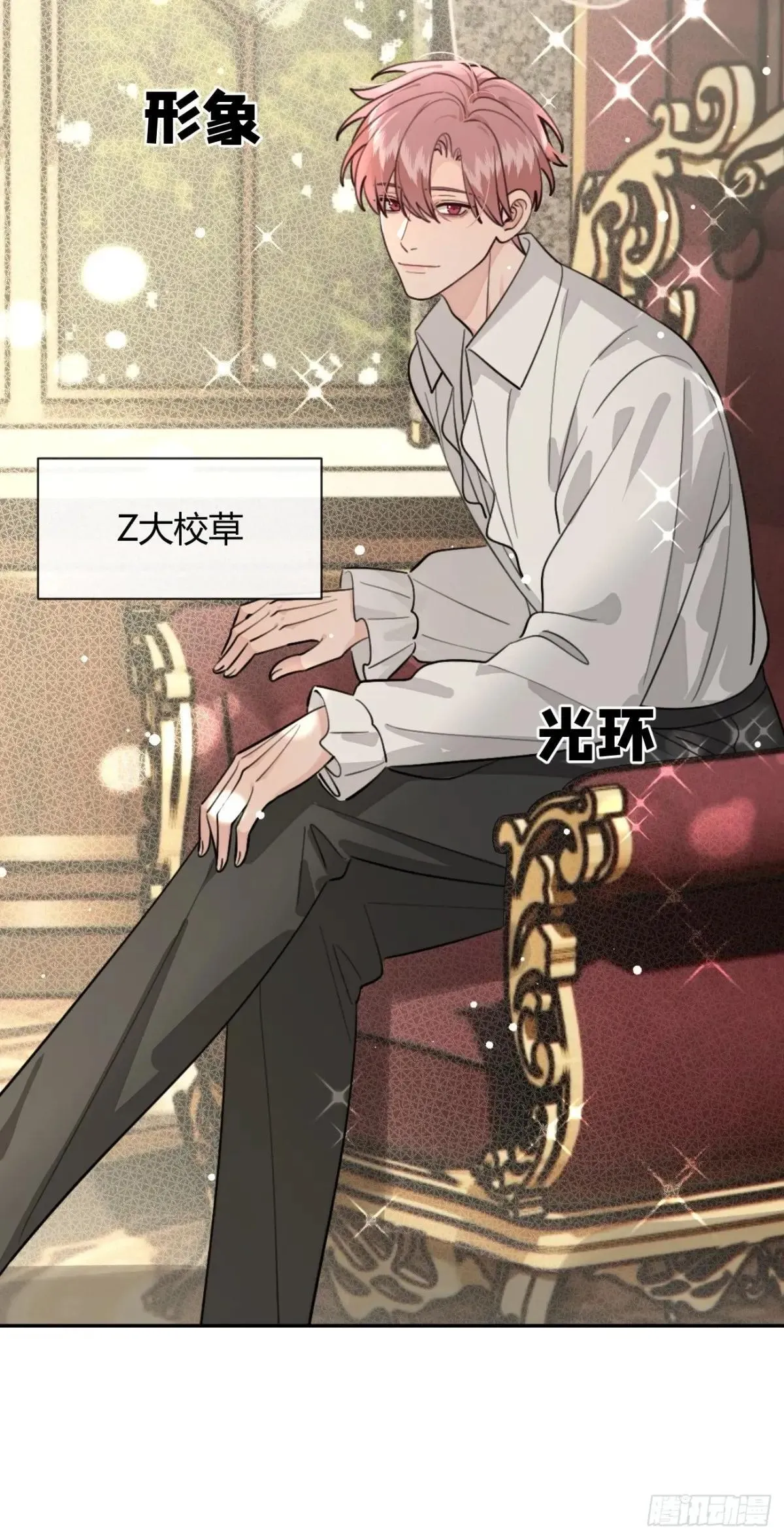 103.奖励 第24页