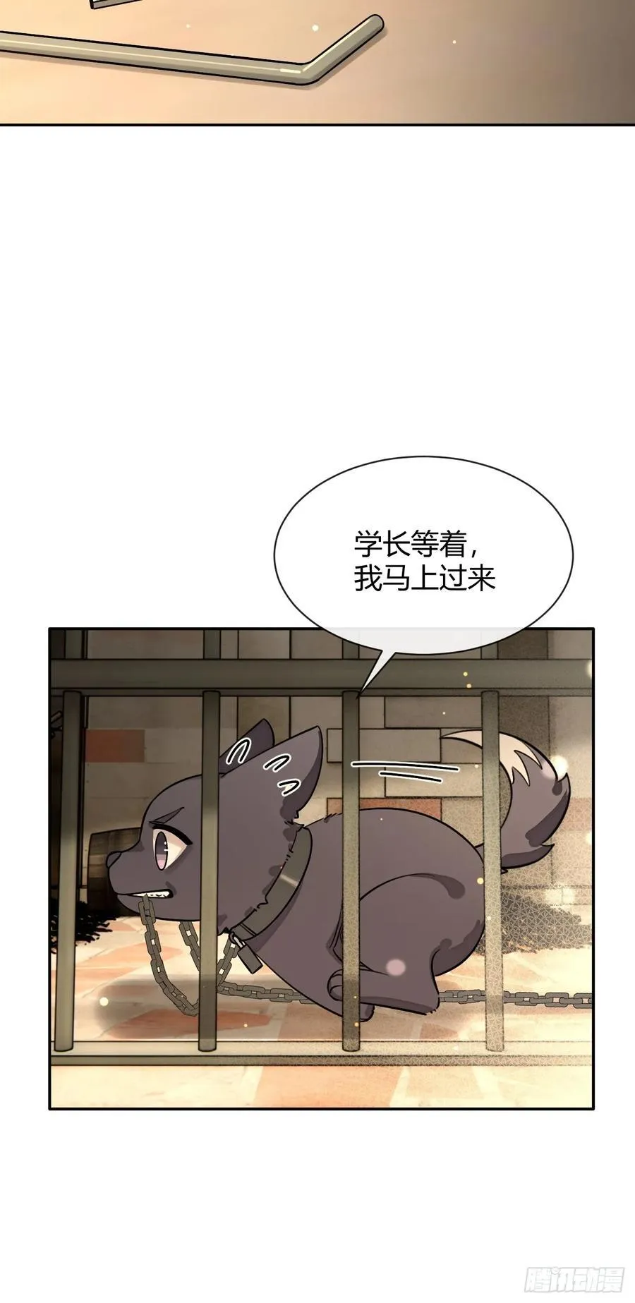 109.最考验意志力的一集 第21页