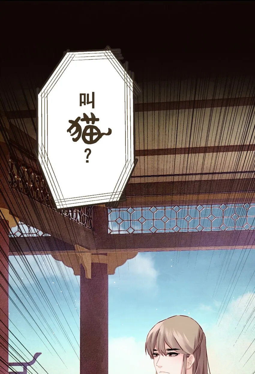 09 这叫猫？？ 第14页