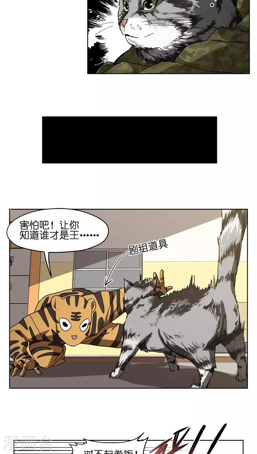 第43话 喵皇 第5页