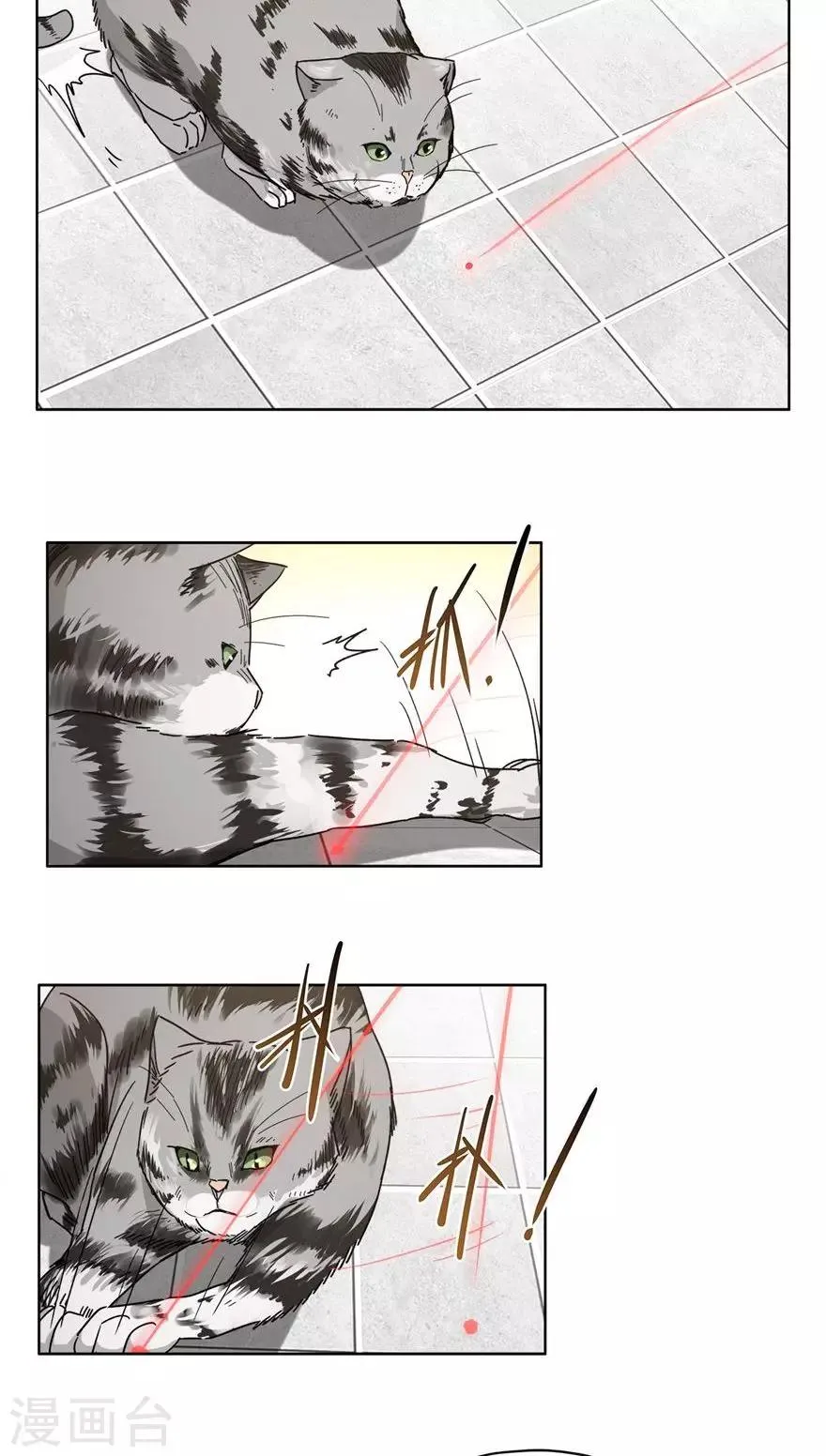 第43话 喵皇 第7页