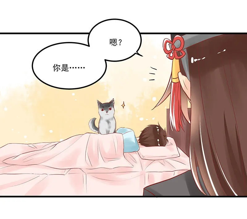 第70章 第2页