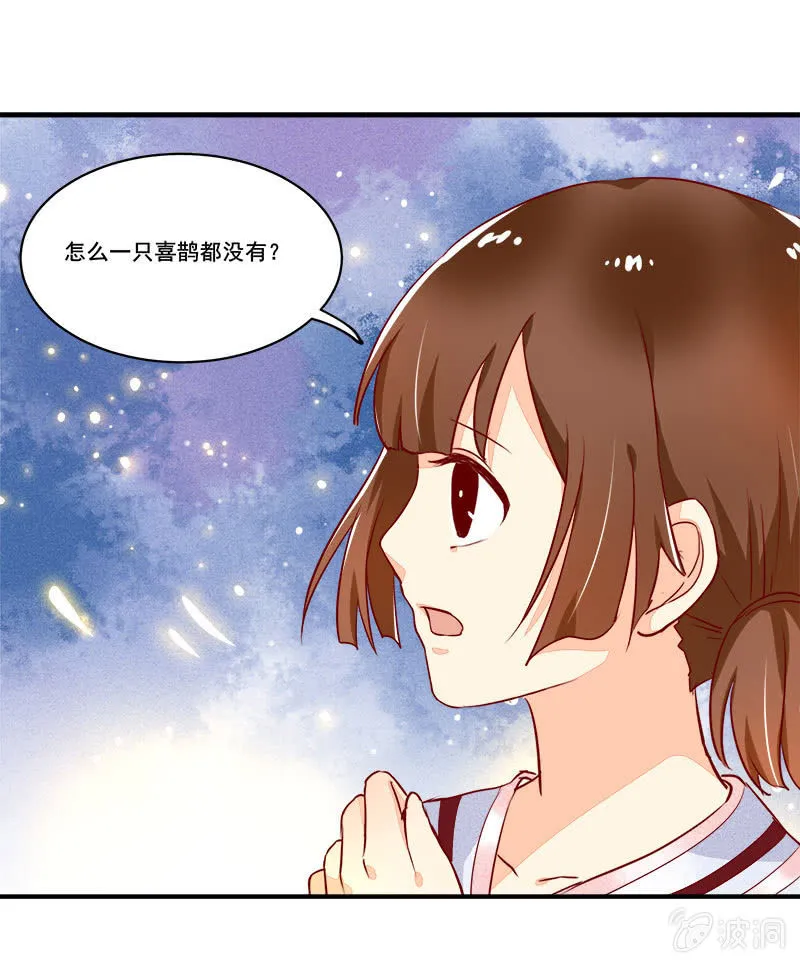 第54章 第16页