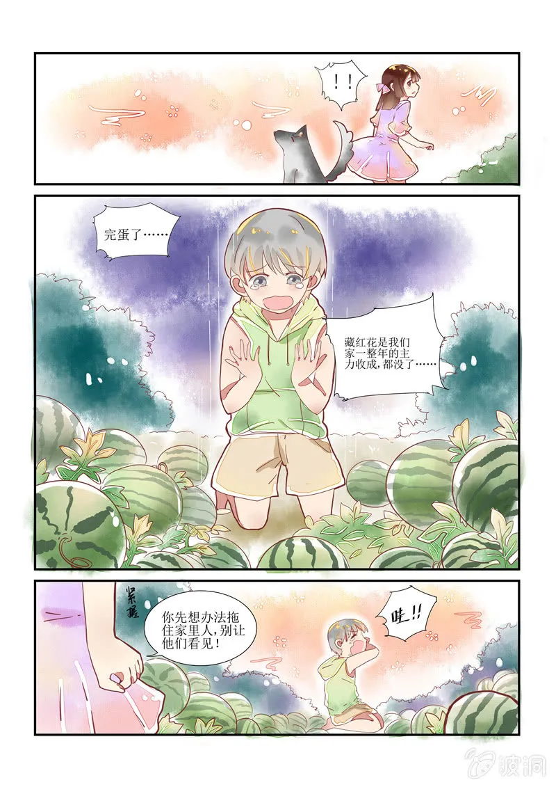 第13回 第8页