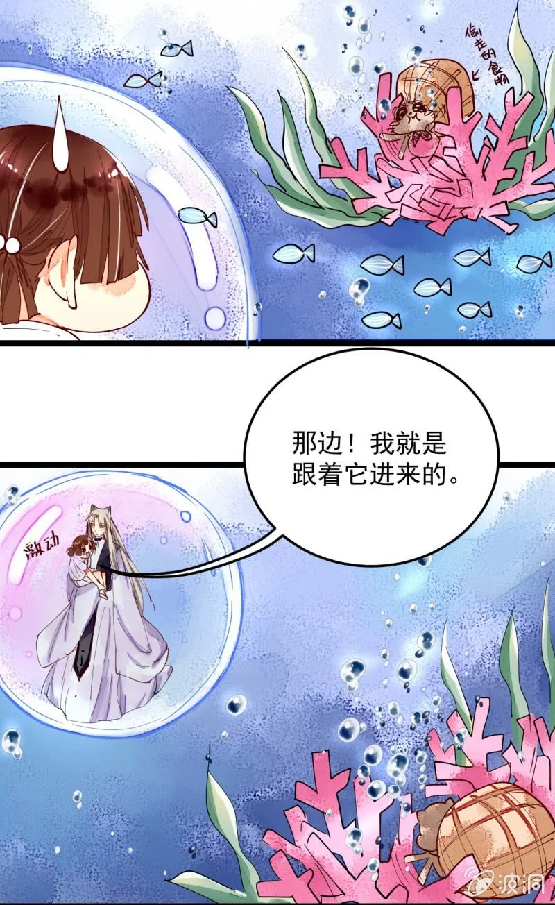 第29回 第24页