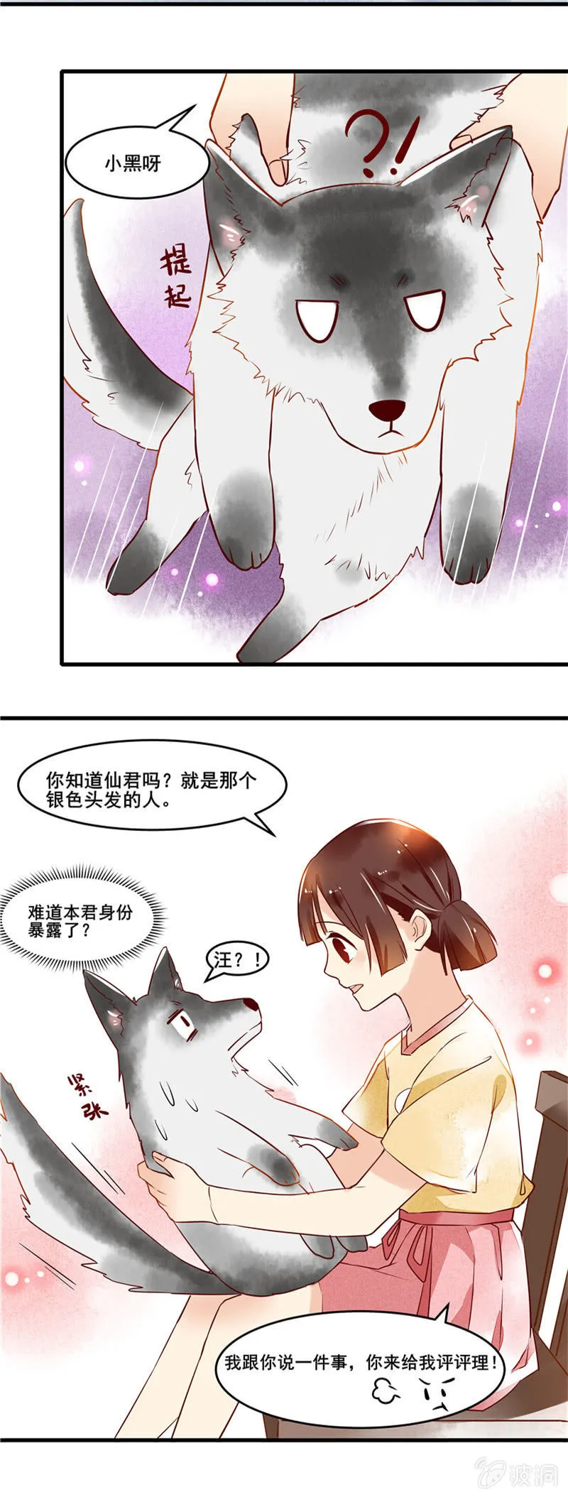 第44章 第13页