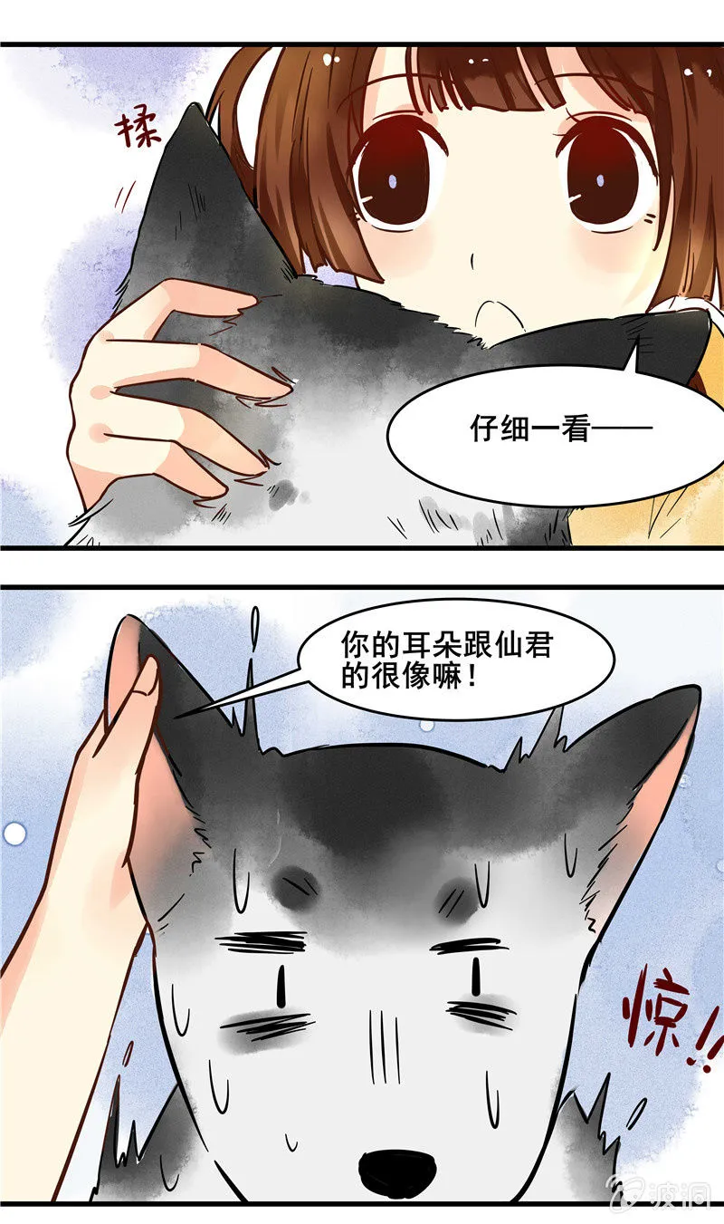 第45章 第10页