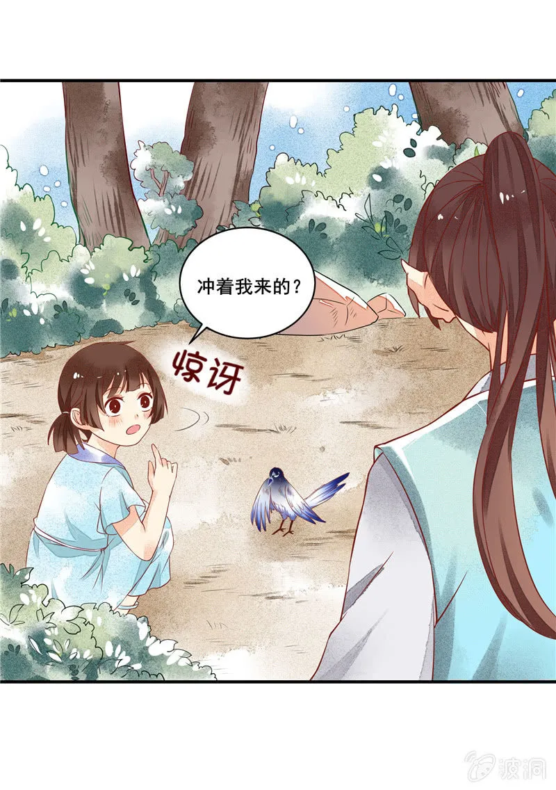 第48章 第4页