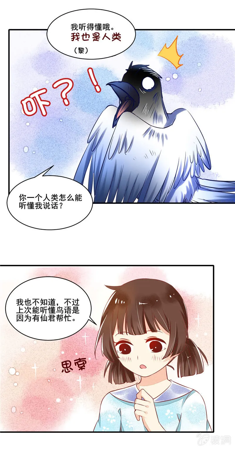 第48章 第7页