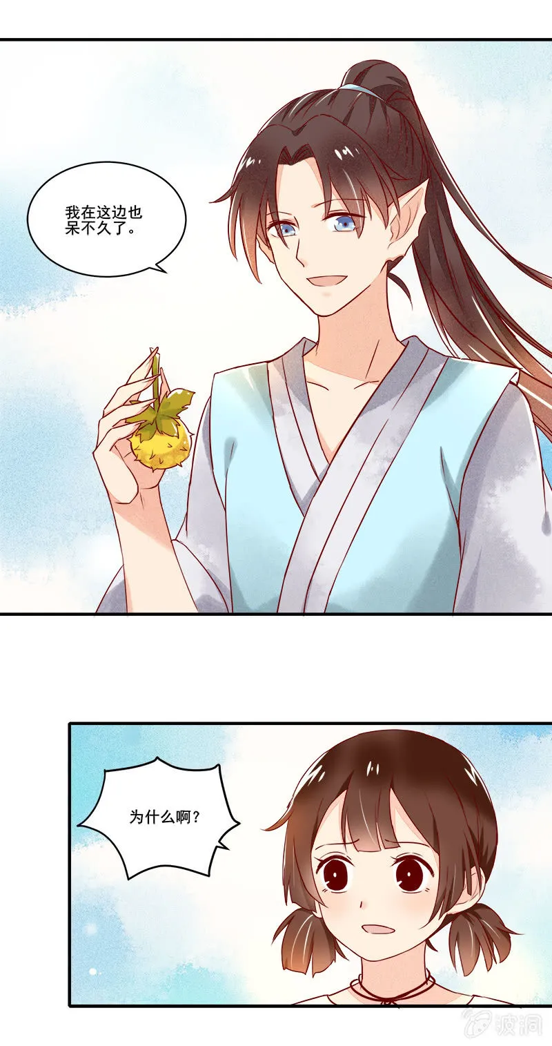 第51章 第24页