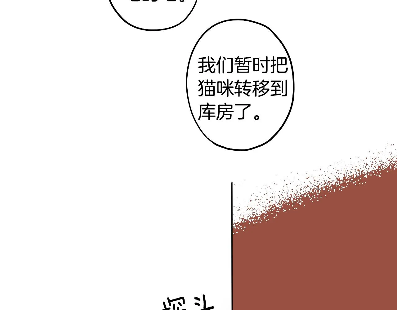 第14话 夫人的婚姻 第70页