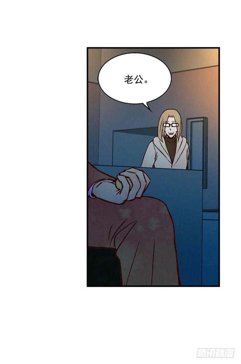我果然不该来 第24页