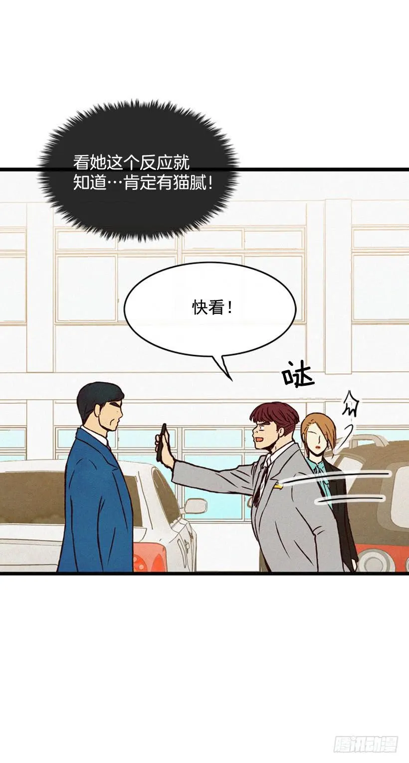 神秘视频 第45页