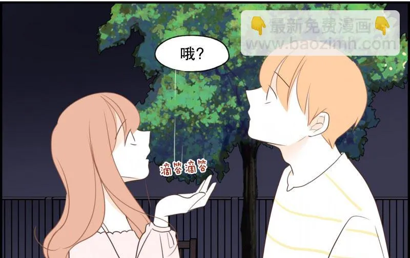 126.街边花园 第7页