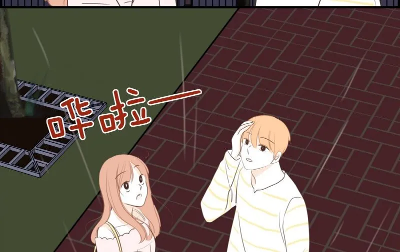 126.街边花园 第8页