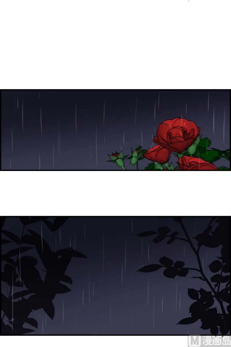 126.街边花园 第19页