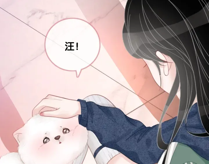 第20话 带着“儿子”上节目 第37页