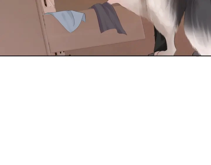 第33话 开口对你说喜欢 第41页