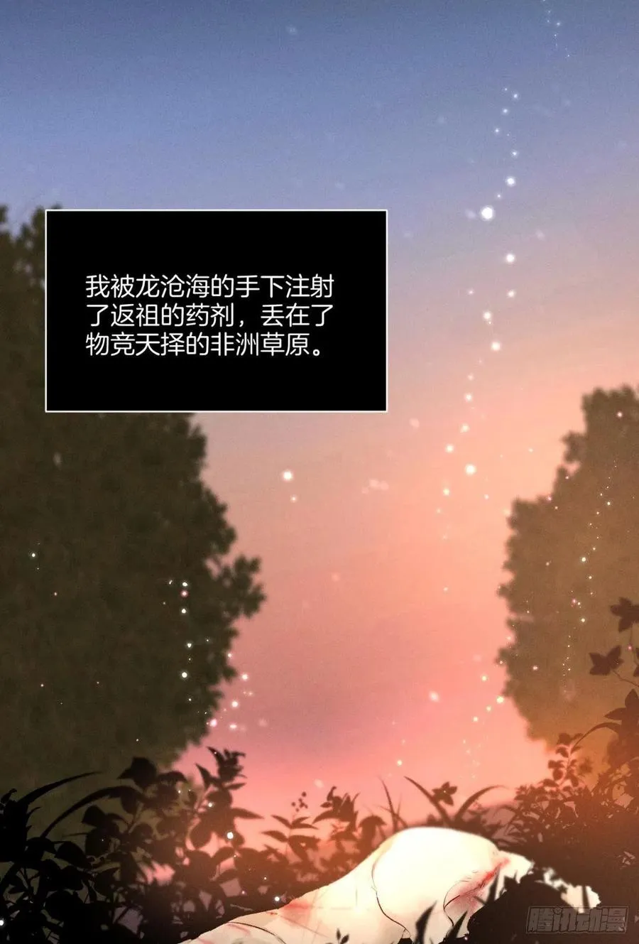 207话：破碎梦境 第13页